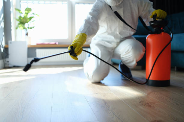Reliable Odor Removal contractor in Ganado, TX by Trauma Clean Pros